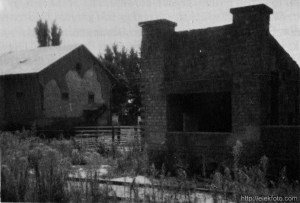 Az eleki állomás disznórakodó rámpája, a háttérben a gabonaraktár.