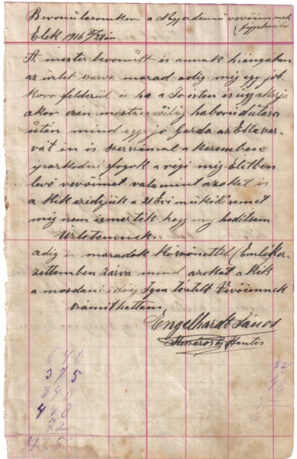 Engelhardt János bevonulása, 1916.