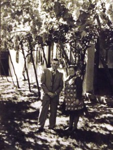  A Spitzer házaspár( ?) szőlőlugasa az 1970-esévekben