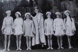 A királyfi és az udvarhölgyek