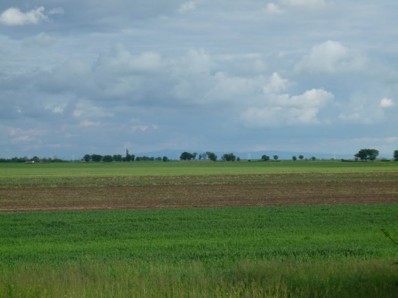 Elekről ezt láthatjuk