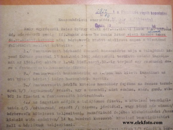 Egy haszonbérleti szerződés 1946-ból.