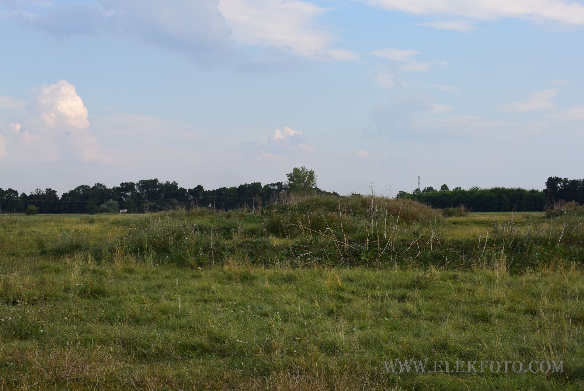 A lódomb maradéka.